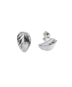 Produkt Earring Studs Coffee Leaves