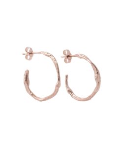 Produkt Earrings circles – pink twig of coffee tree